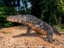 Monitor Lizards